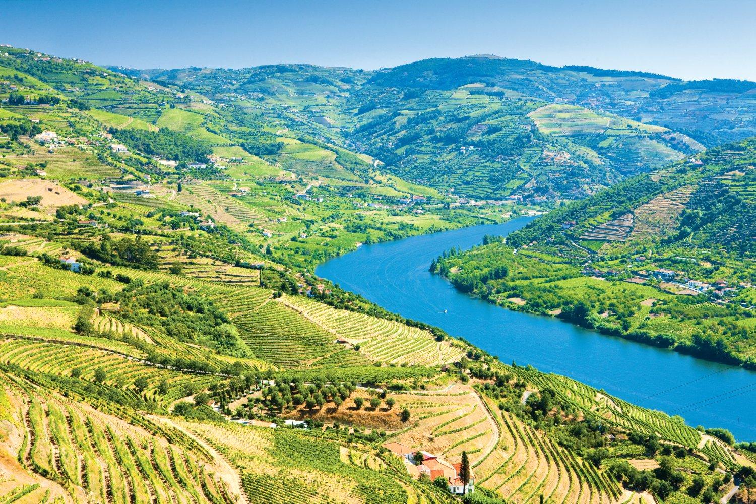 Viagem por Portugal - As castas do Douro